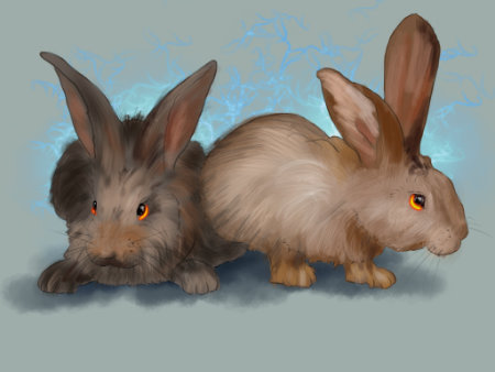 stoned–rabbits kl